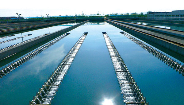 合民牌水体提质液WEI-SL型在广东省清远市某社区河道黑臭水体治理中的应用