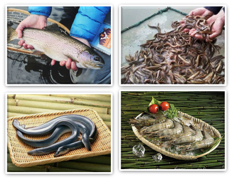 环保科技产品,养殖专用型,微生物制剂