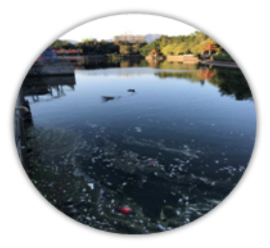 环保科技产品,养殖专用型,微生物制剂