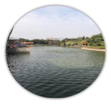 环保科技产品,养殖专用型,微生物制剂