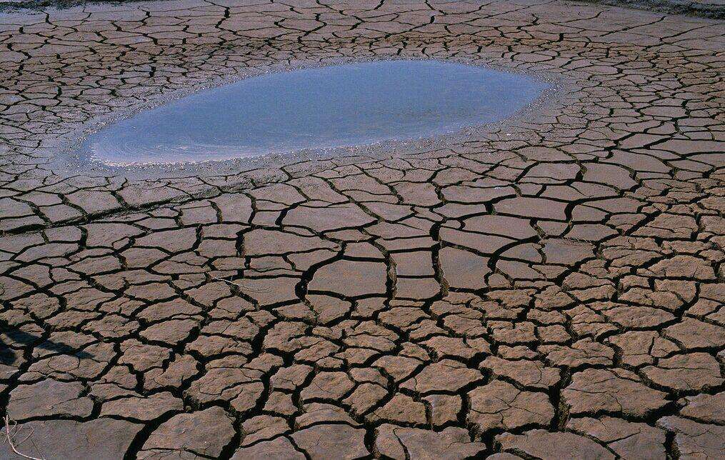 1600216263194103.jpg 05.jpg