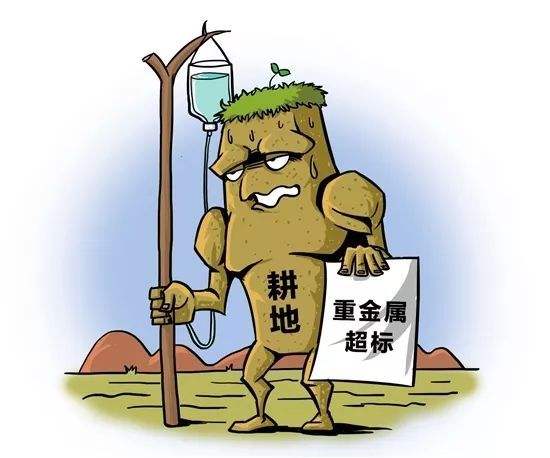 1600216299665025.jpg 04.jpg