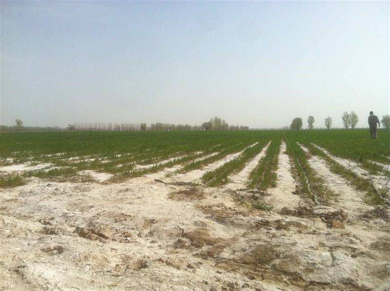 1600216382347155.jpg 06.jpg