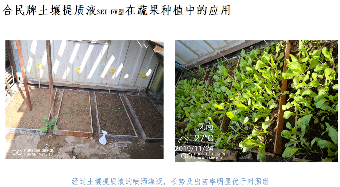 1600216501659647.png 07.png