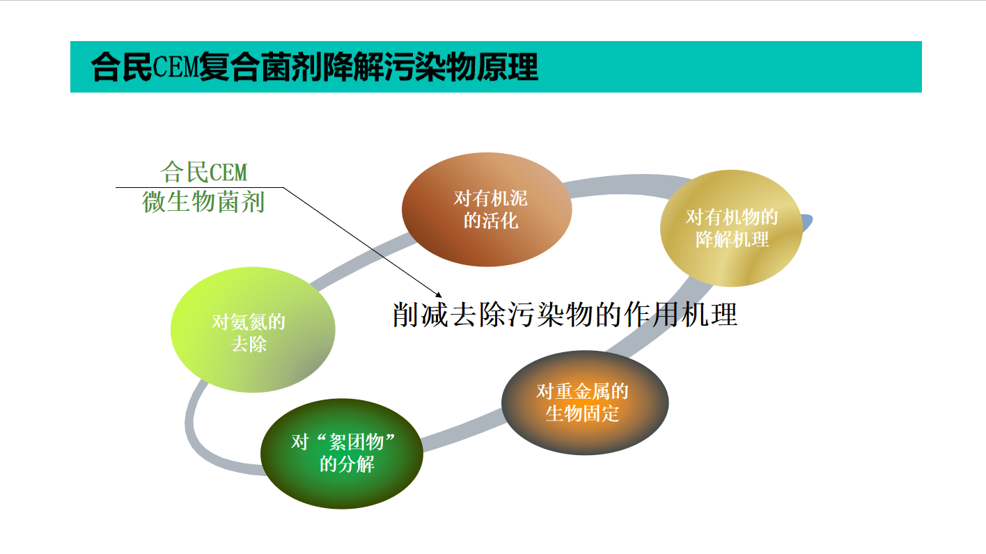 降解原理.png